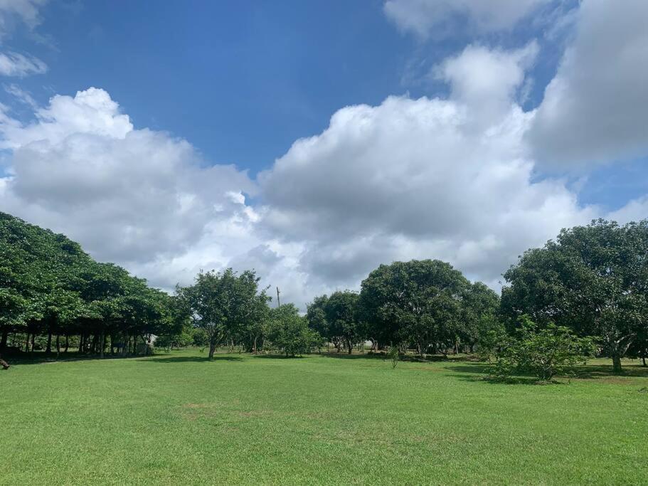 Apartamento Disfruta Del Contacto Con La Naturaleza Puntarenas Exterior foto