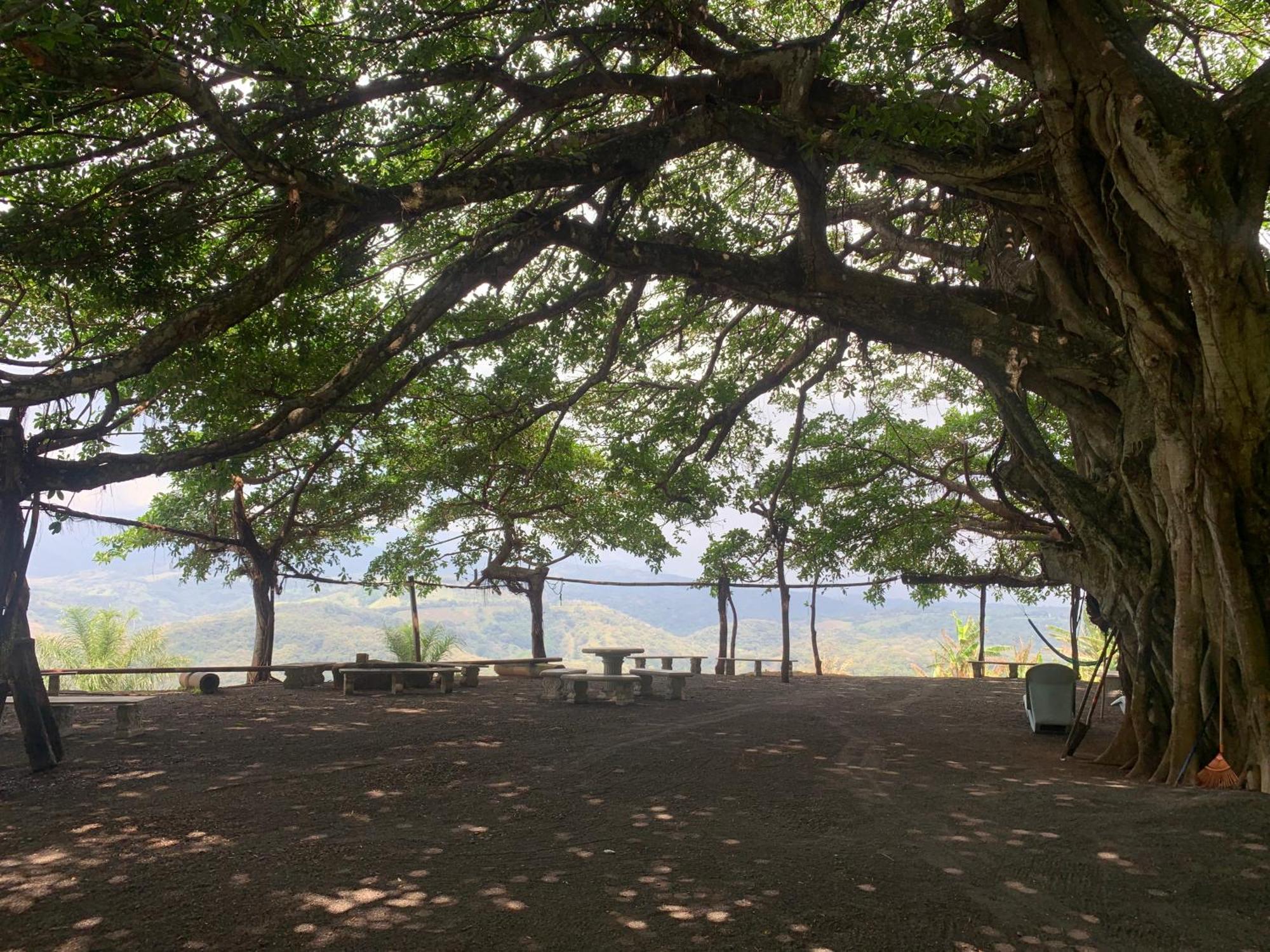 Apartamento Disfruta Del Contacto Con La Naturaleza Puntarenas Exterior foto
