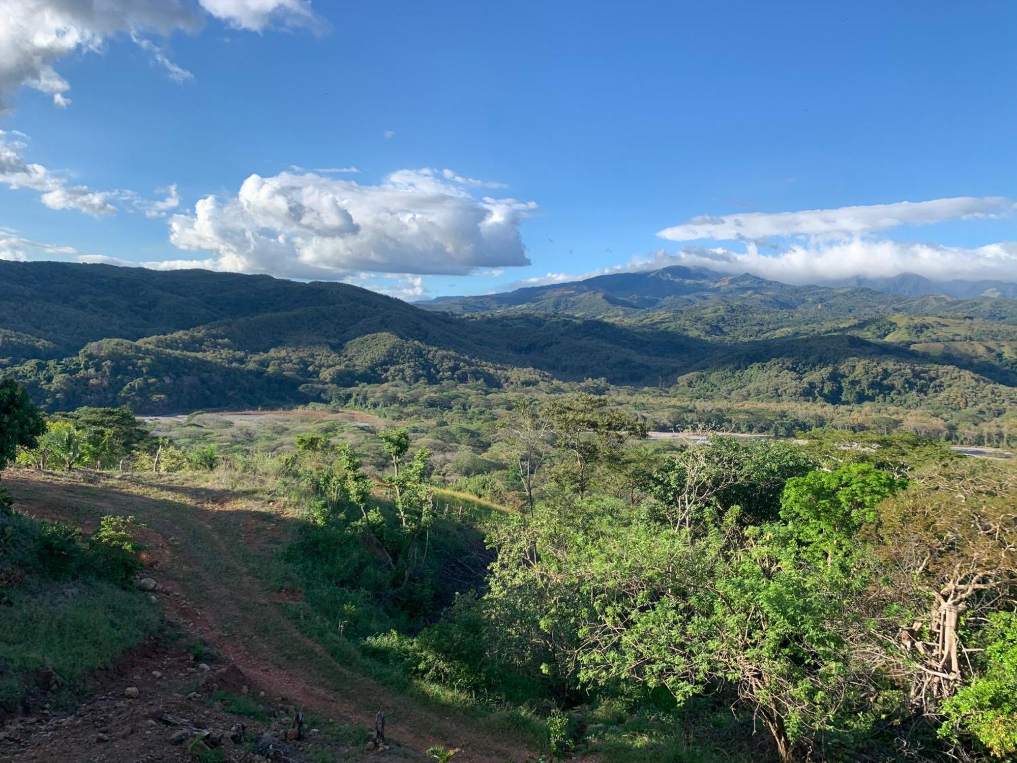 Apartamento Disfruta Del Contacto Con La Naturaleza Puntarenas Exterior foto