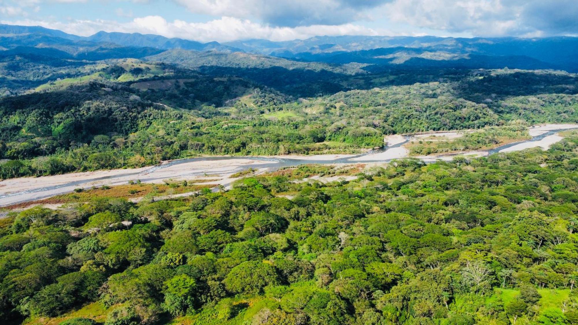Apartamento Disfruta Del Contacto Con La Naturaleza Puntarenas Exterior foto